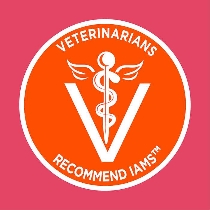 Alternative view of Iams Proactive Health Salmon Adult Dry Cat Food