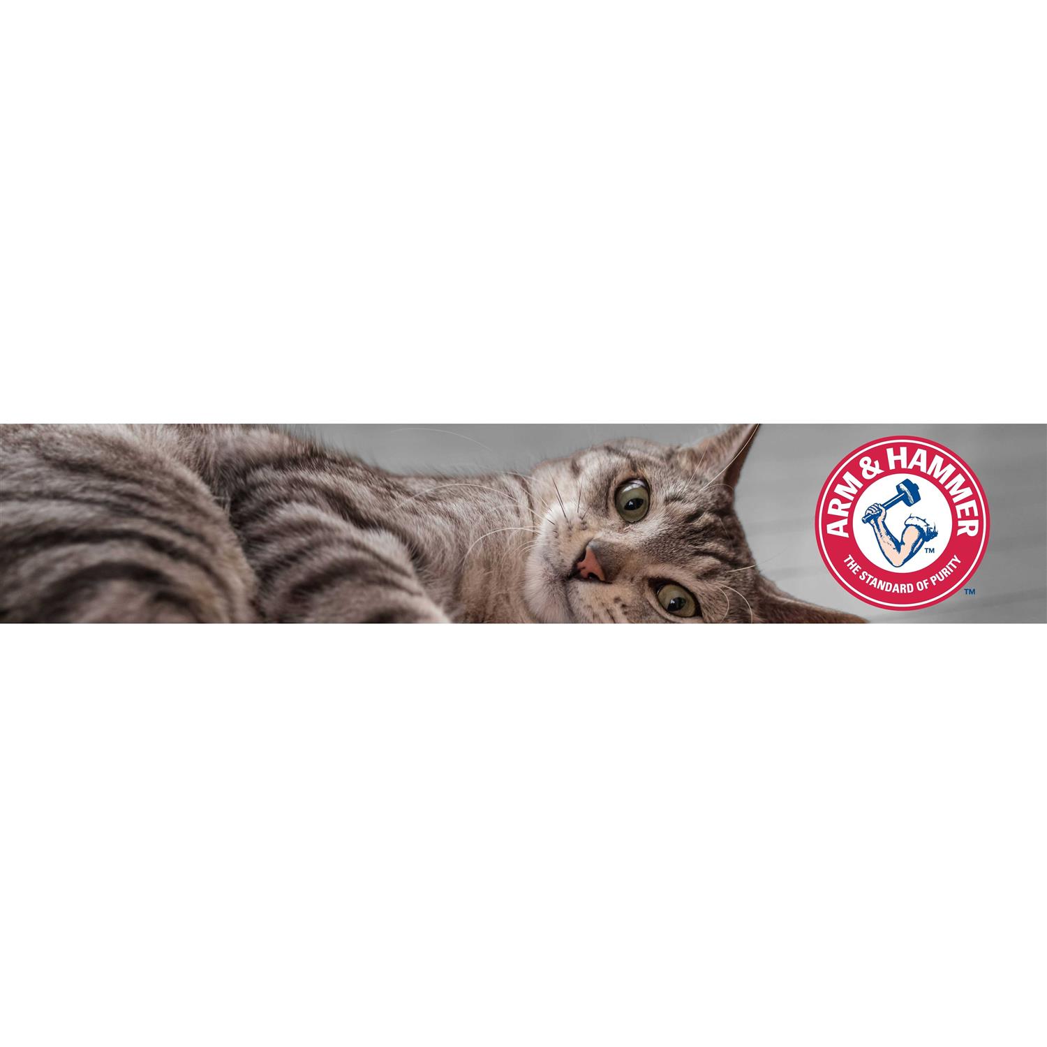 Alternative view of Arm & Hammer Clump & Seal Platinum Multi-Cat Complete Odor Sealing Clumping Cat Litter