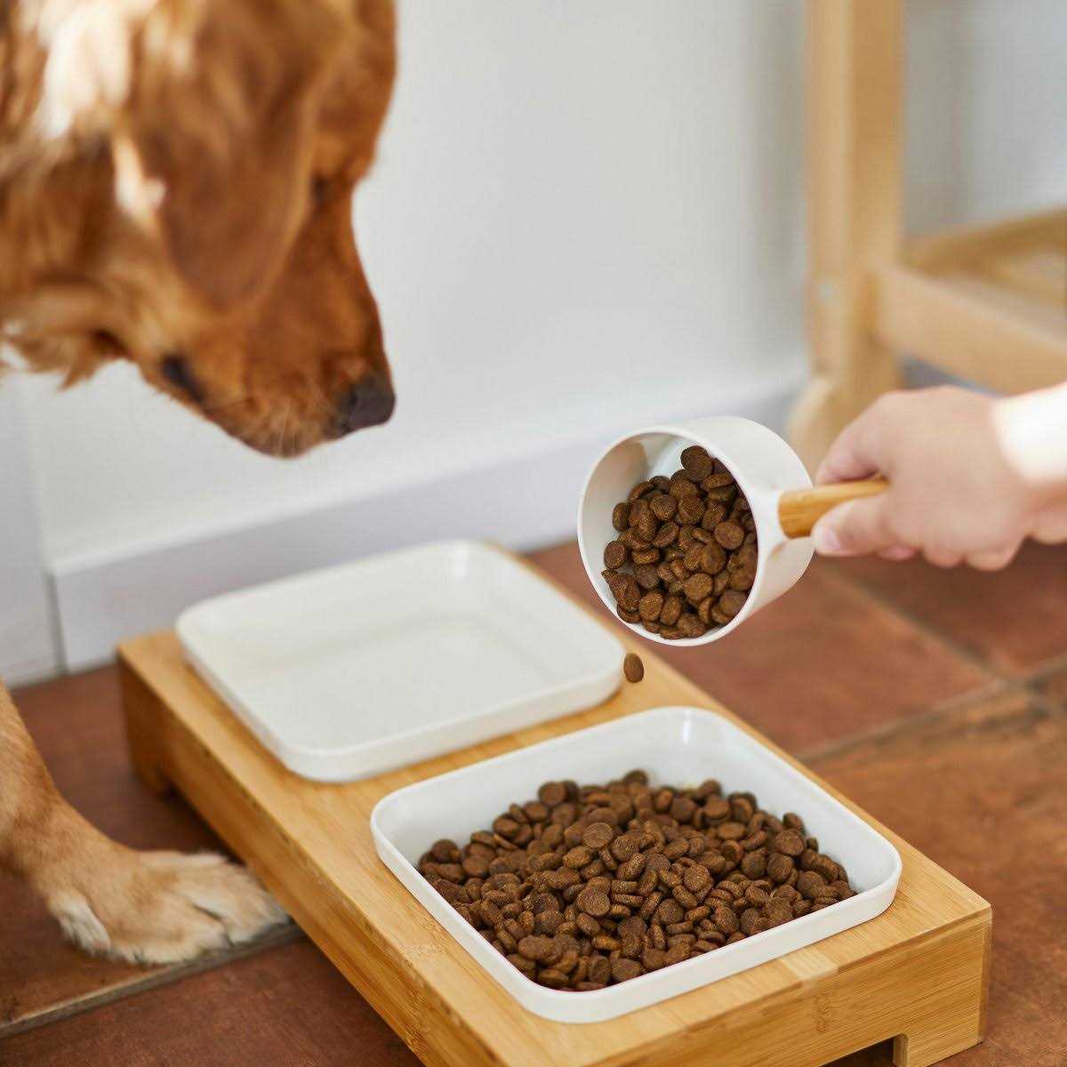 Alternative view of Frisco Melamine Dog & Cat Food Scoop with Bamboo Handle