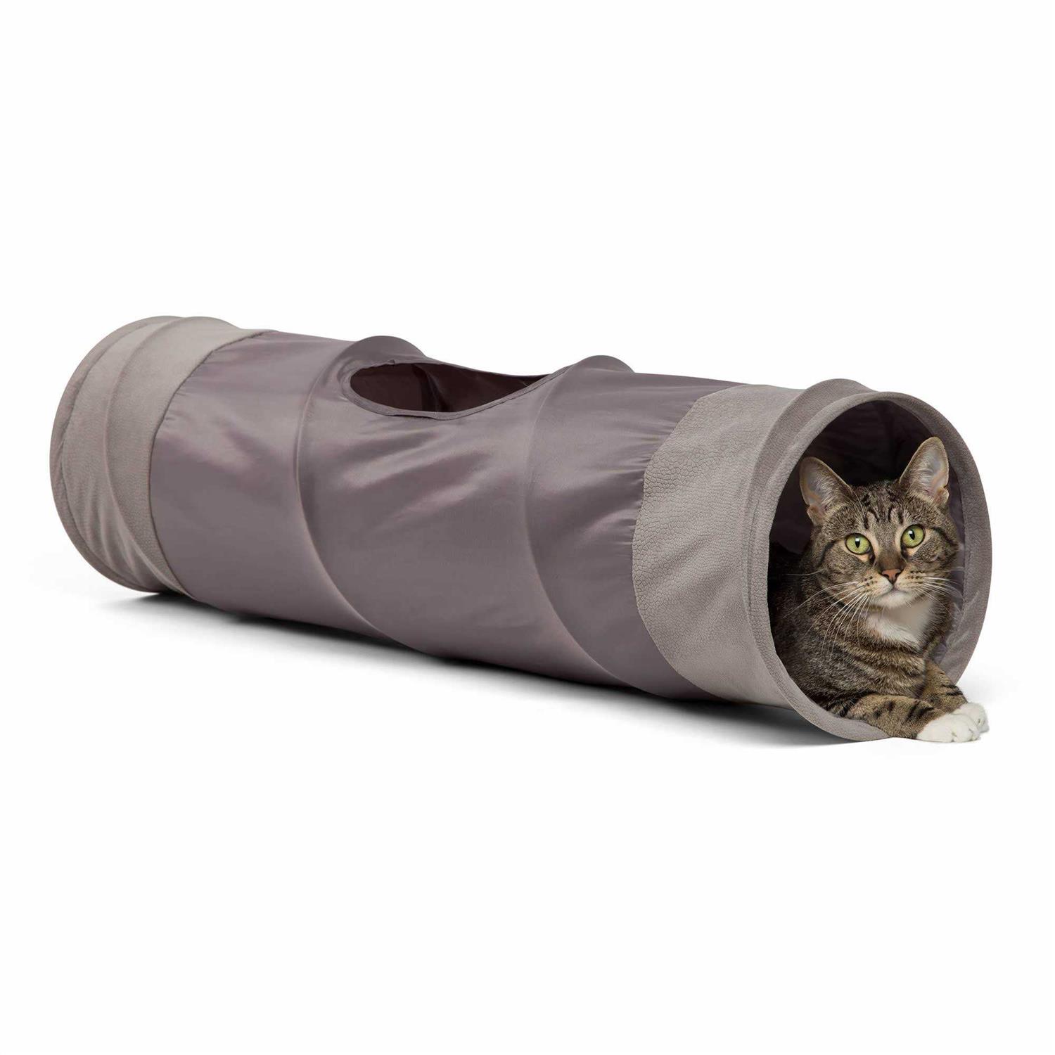 Best Friends by Sheri Ilan Oxford Cat Tunnel