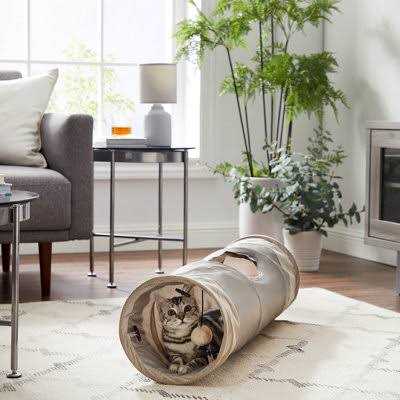 Alternative view of Best Friends by Sheri Ilan Oxford Cat Tunnel