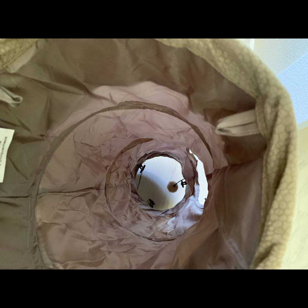 Alternative view of Best Friends by Sheri Ilan Oxford Cat Tunnel