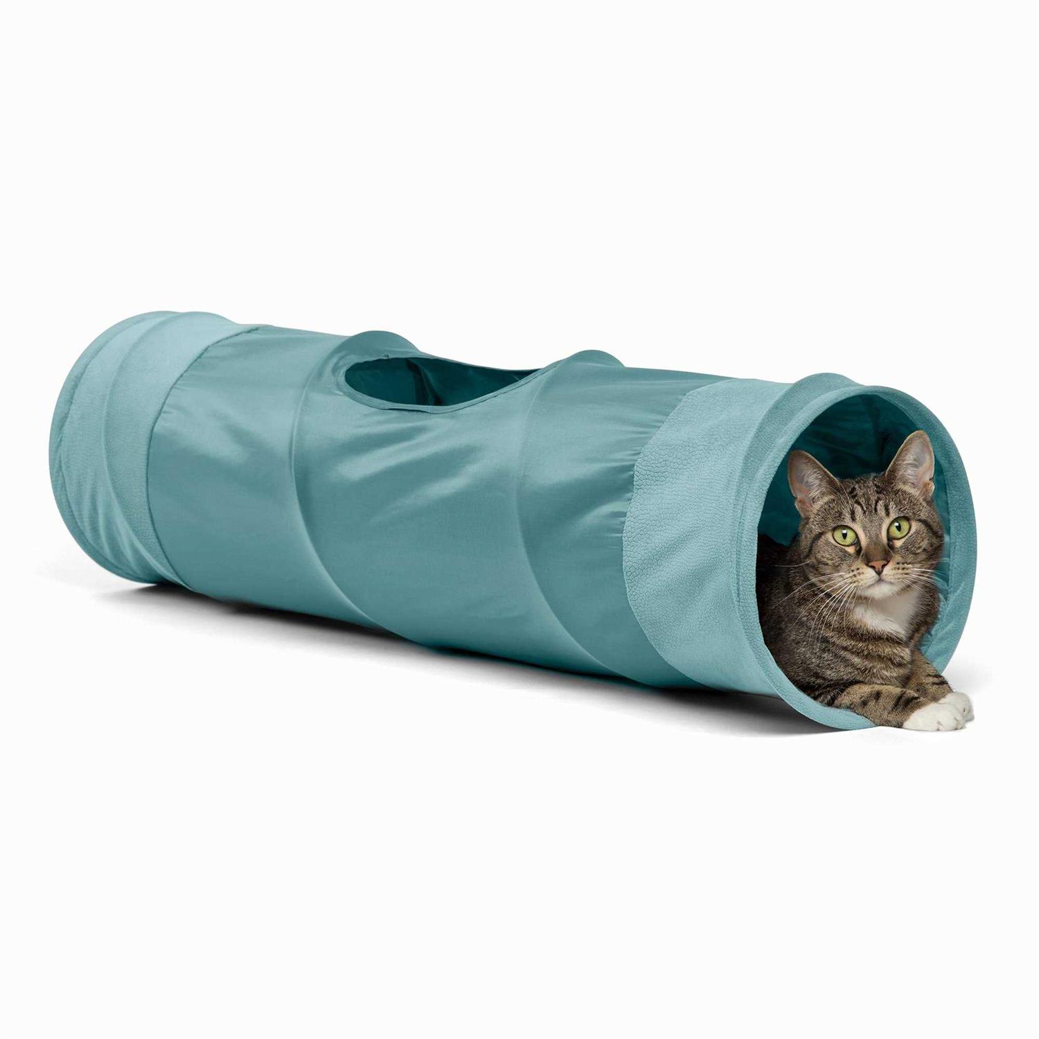 Best Friends by Sheri Ilan Oxford Cat Tunnel