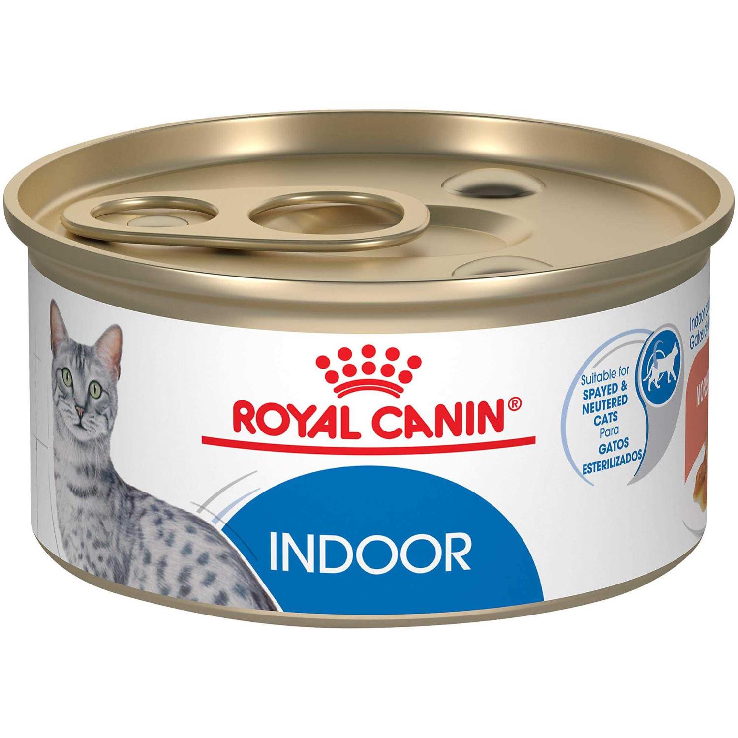 Royal Canin Adult Feline Health Nutrition Morsels in Gravy Cat Food for Indoor Cats