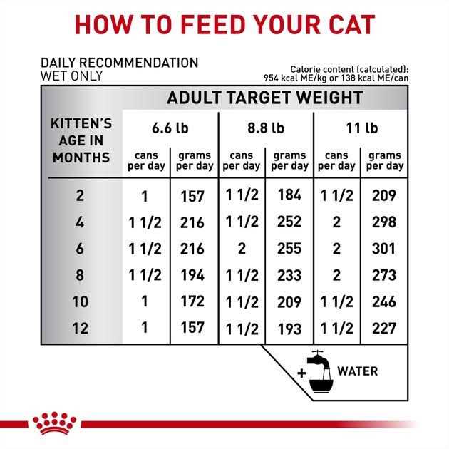 Alternative view of Royal Canin Veterinary Diet Gastrointestinal Kitten Ultra Soft Mousse in Sauce Canned Cat Food