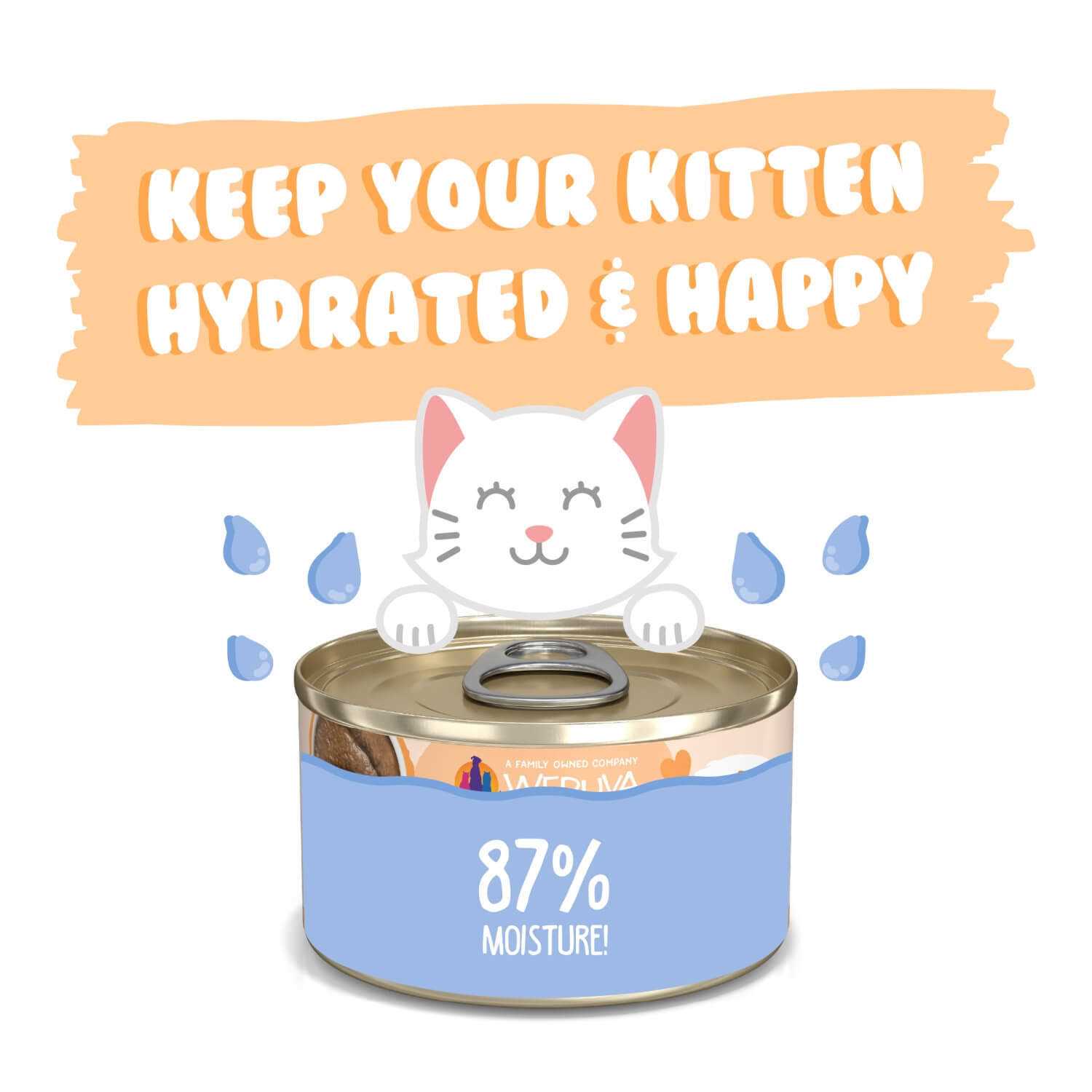 Alternative view of Weruva Kitten Tuna & Salmon Formula in a Hydrating Puree Cat Food