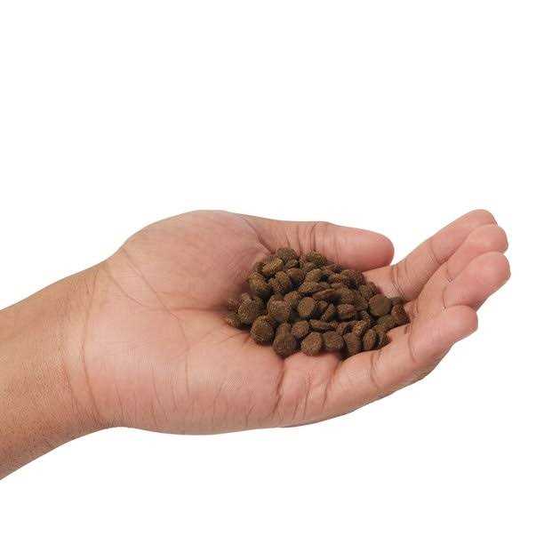 Alternative view of Farmina N&D Prime Grain Free Cat Dry Food Lamb & Blueberry