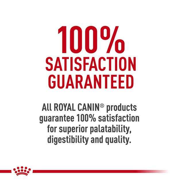 Alternative view of Royal Canin Ragdoll Adult Cat Food