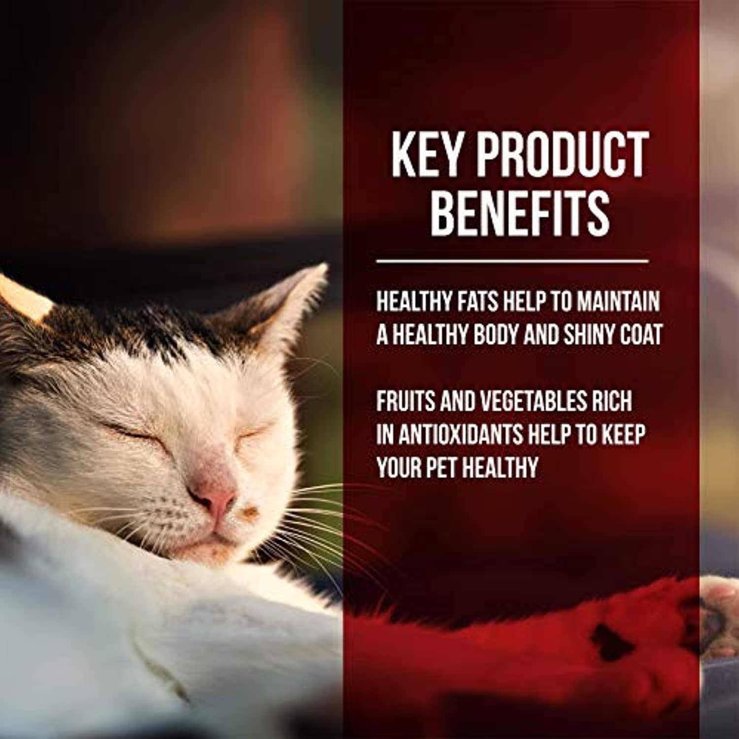 Alternative view of Fussie Cat Dry Cat Food Market Fresh Chicken Turkey