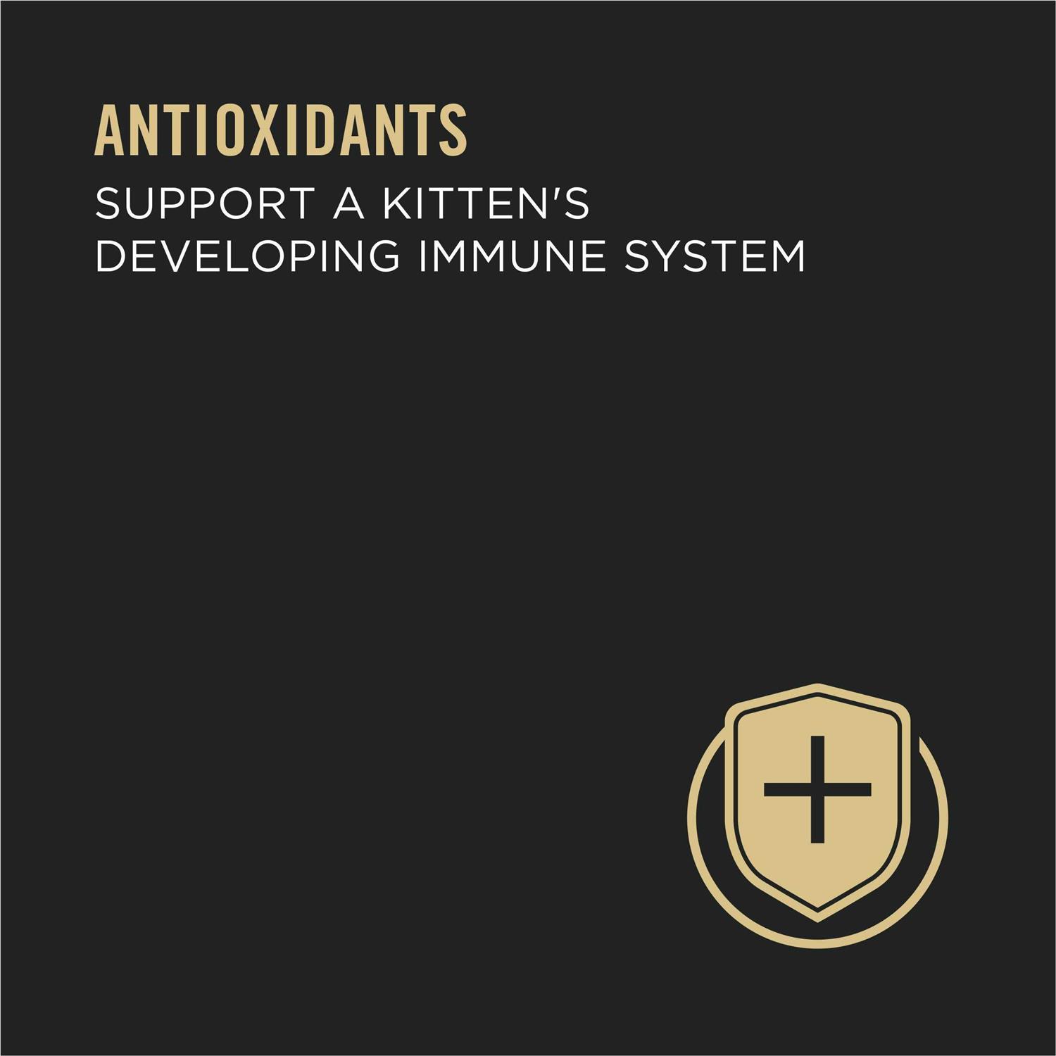 Alternative view of Purina Pro Plan Grain Free Pate Wet Kitten Food