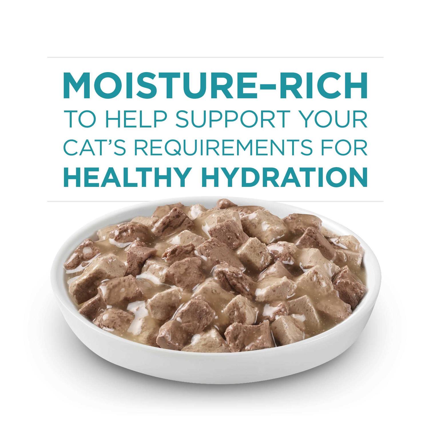 Alternative view of Purina ONE True Instinct Cat Food