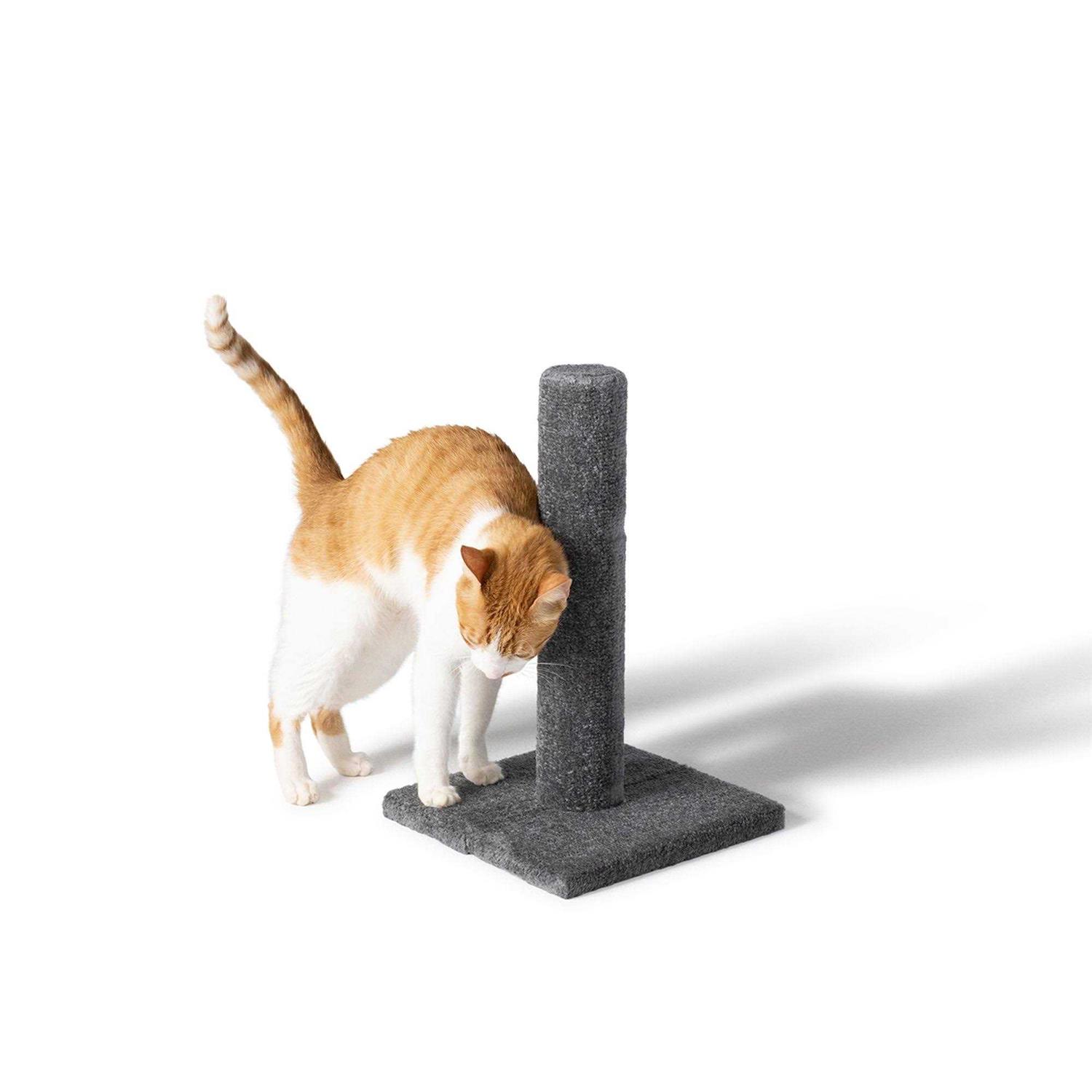 Whisker City 19-in Carpet Scratching Post