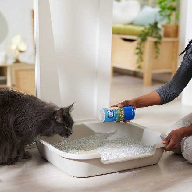 Alternative view of Fresh Step Litter Box Attractant Powder to Aid in Training