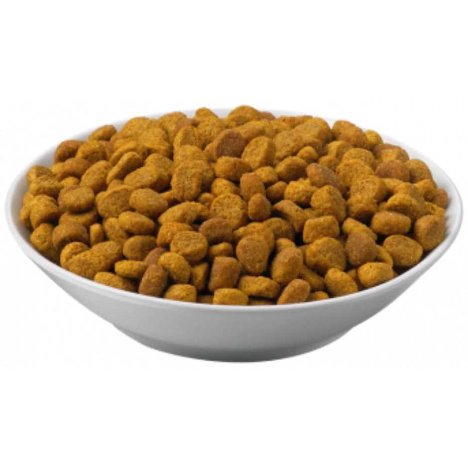 Alternative view of Purina Pro Plan Veterinary Diets OM Overweight Management Formula Dry Cat Food