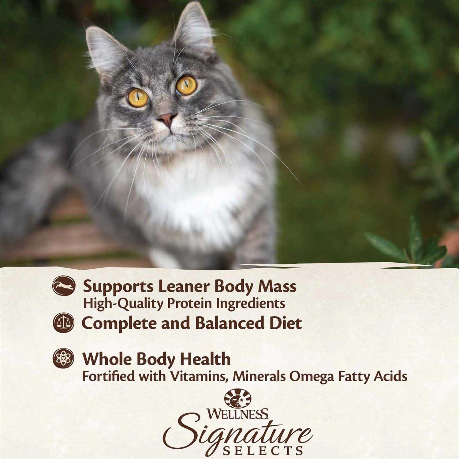 Alternative view of Wellness Core Signature Selects Grain Free Canned Cat Food