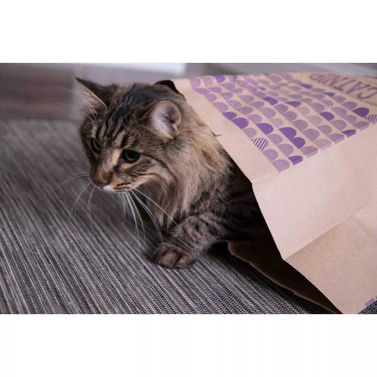Alternative view of SmartyKat Catnip Caves