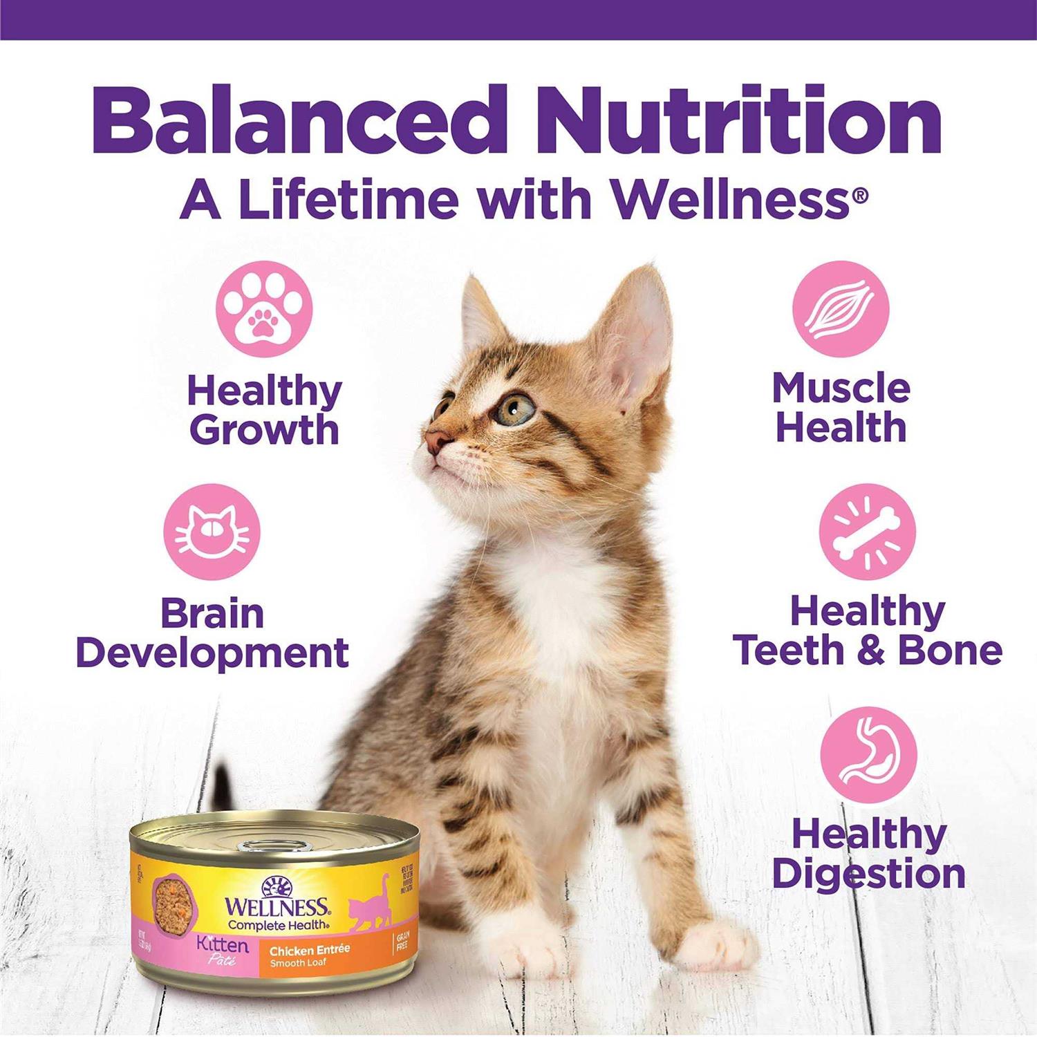 Alternative view of Wellness Complete Health Kitten Whitefish & Tuna Wet Cat Food