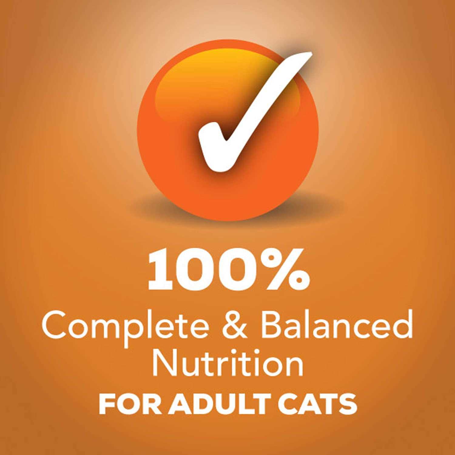 Alternative view of Friskies Prime Filets with Chicken Canned Cat Food, 5.5-oz, 24 ct