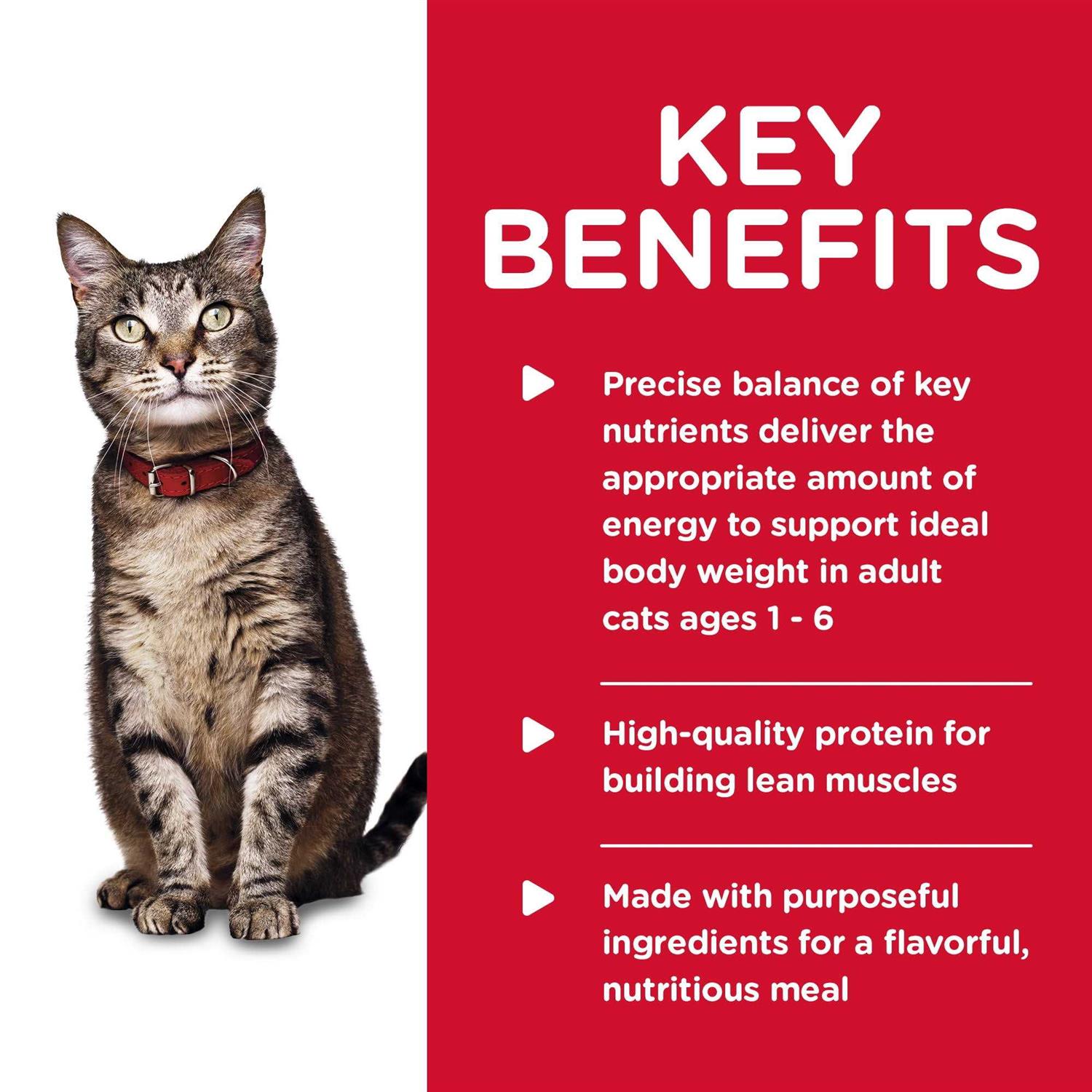 Alternative view of Hill's Science Diet Adult Tender Chicken Dinner Canned Cat Food