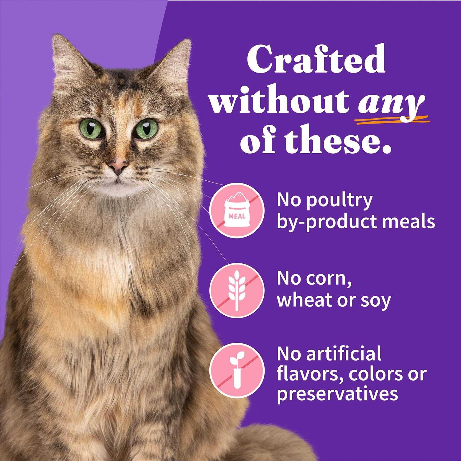 Alternative view of Halo Grain Free Salmon Stew Adult Cat Food