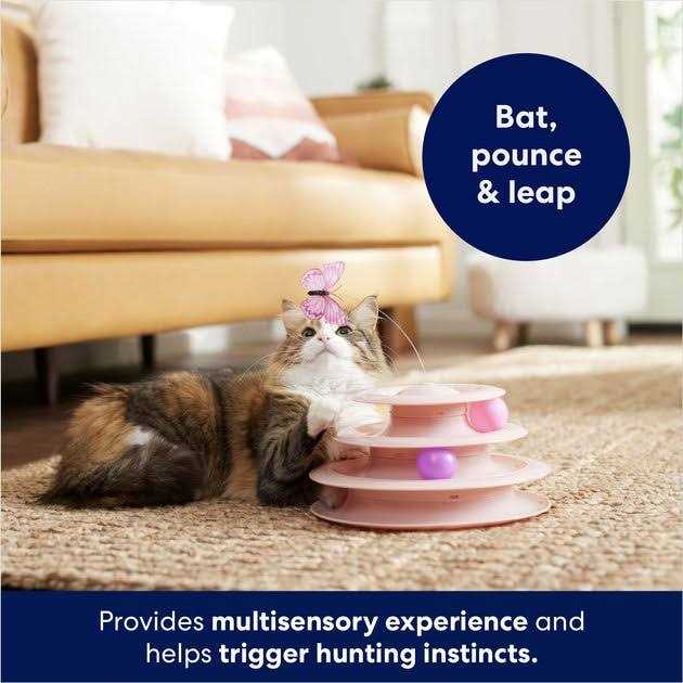 Alternative view of Frisco Butterfly Cat Tracks Cat Toy