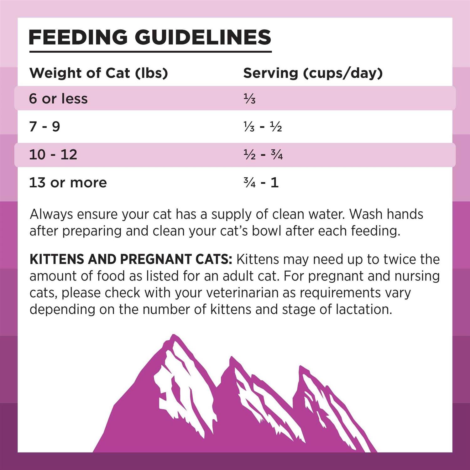 Alternative view of Bixbi Rawbble Chicken Recipe Dry Cat Food