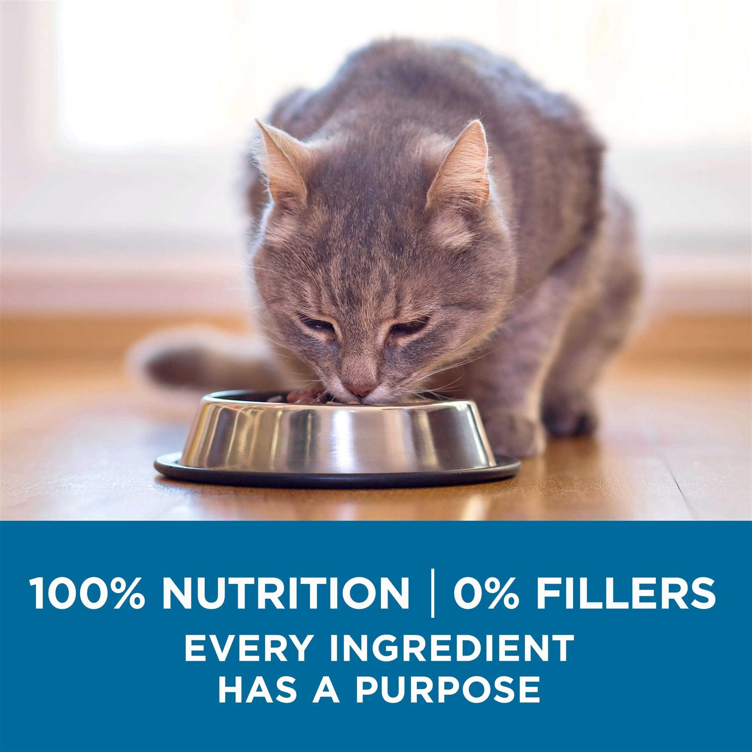 Alternative view of Purina ONE High Protein Natural Senior Dry Cat Food