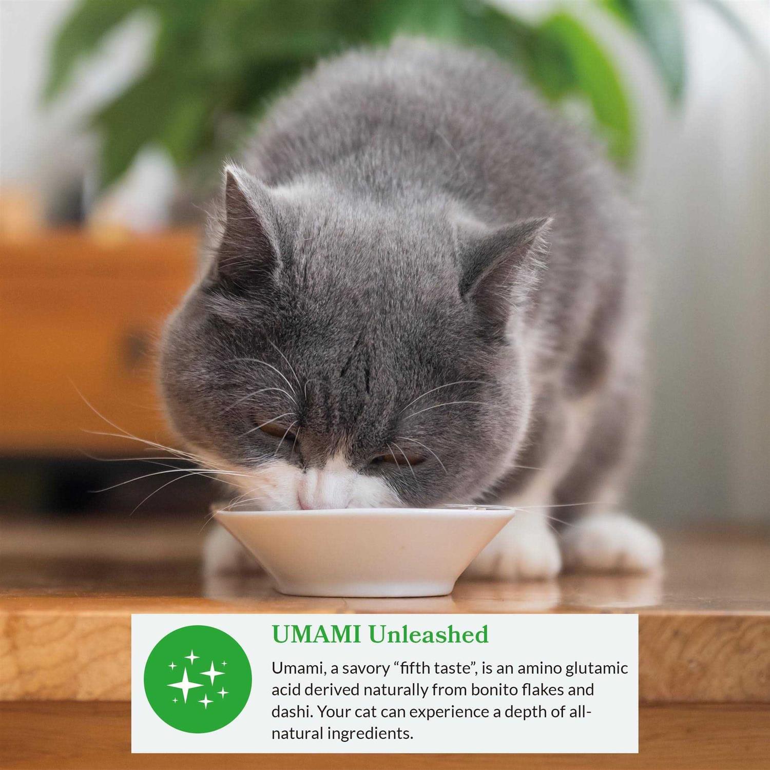 Alternative view of Inaba Dashi Delight Flavored Variety Pack Bits in Broth Cat Food Topping