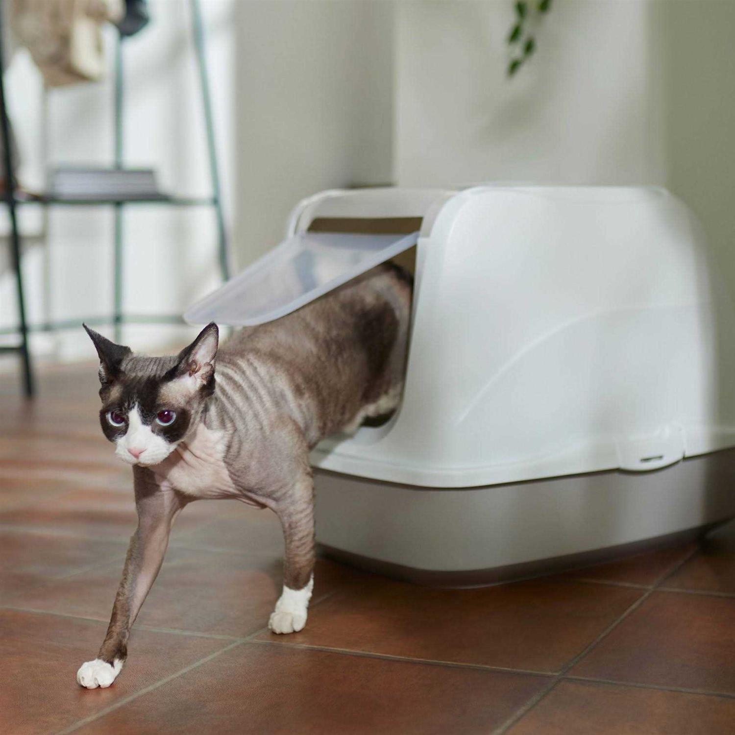 Frisco Flip Top Hooded Cat Litter Box