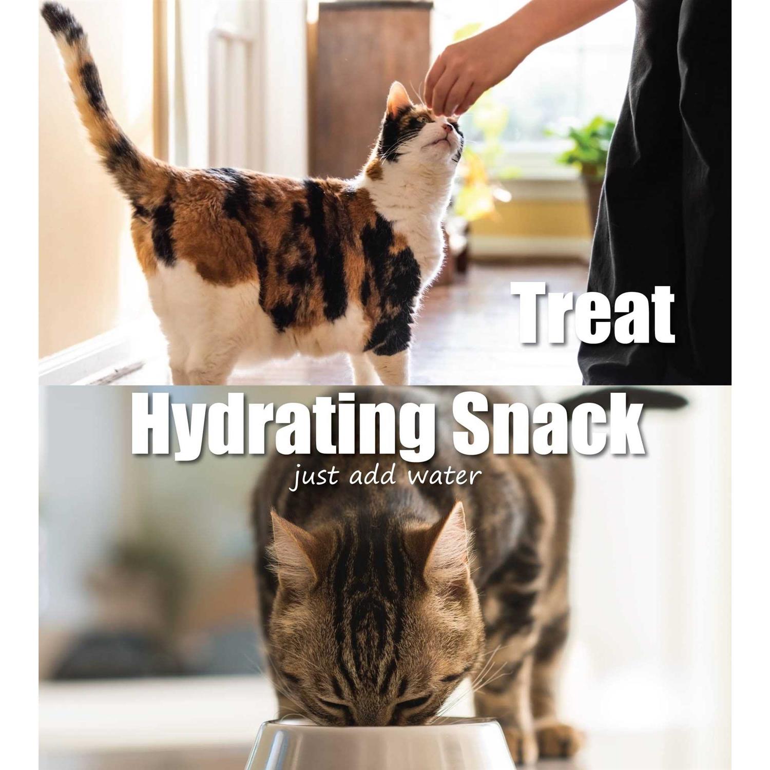 Alternative view of Whole Life Pet Just One Ingredient Freeze-Dried Chicken Cat Treats