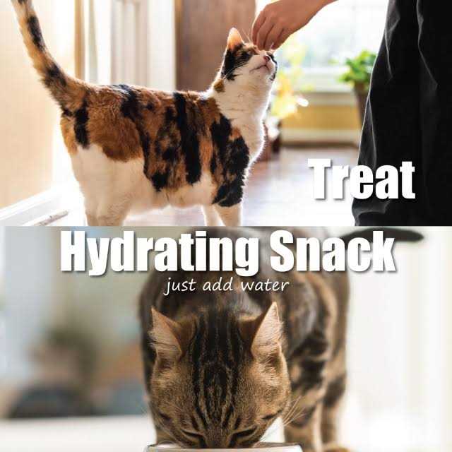 Alternative view of Whole Life Pet Just One Ingredient Freeze-Dried Chicken Cat Treats