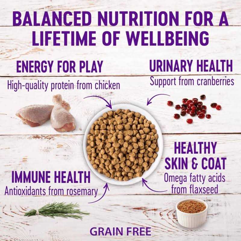 Alternative view of Wellness Complete Health Grain Free Senior Dry Cat Food