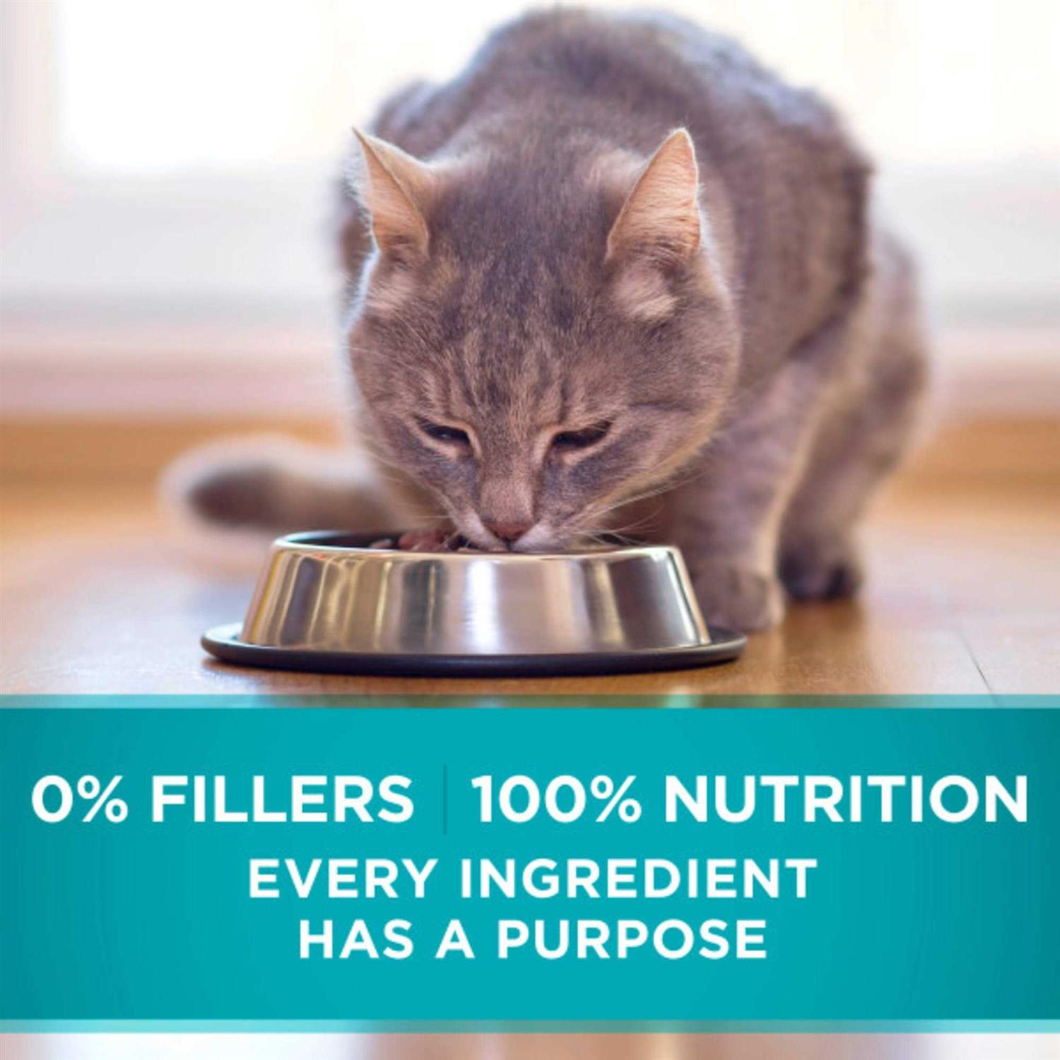 Alternative view of Purina ONE Indoor Advantage High Protein Ocean Whitefish & Rice Wet Cat Food