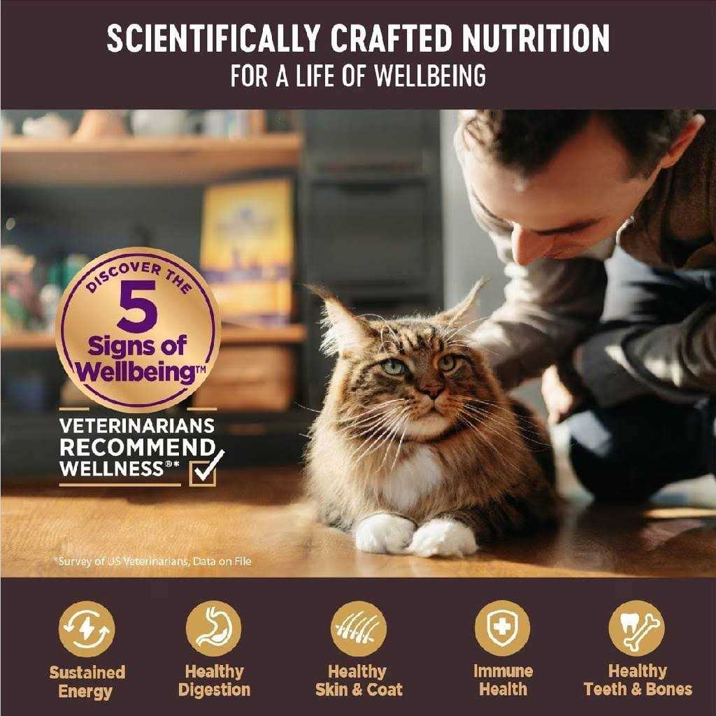 Alternative view of Wellness Core Tiny Tasters Flaked Wet Cat Food