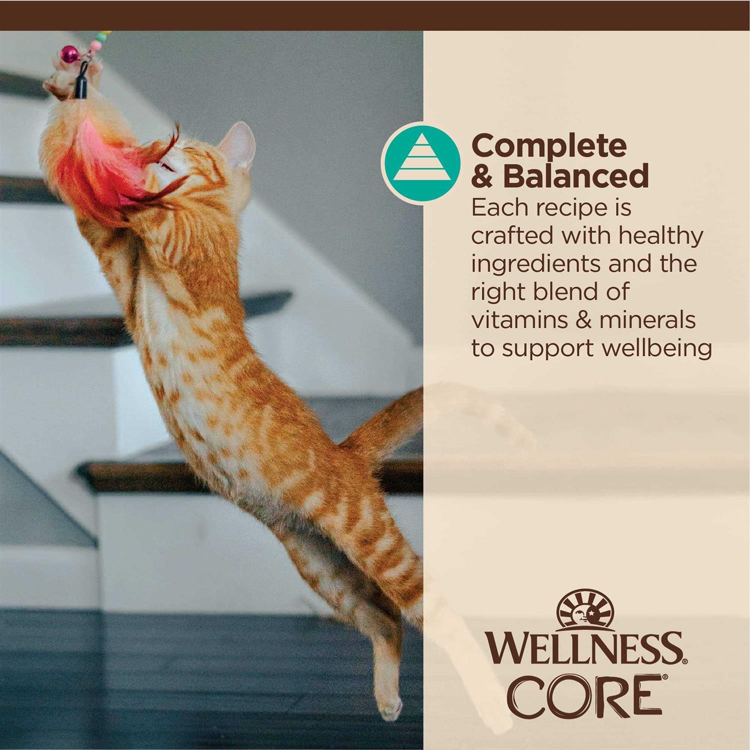 Alternative view of Wellness Core Tiny Tasters Flaked Wet Cat Food