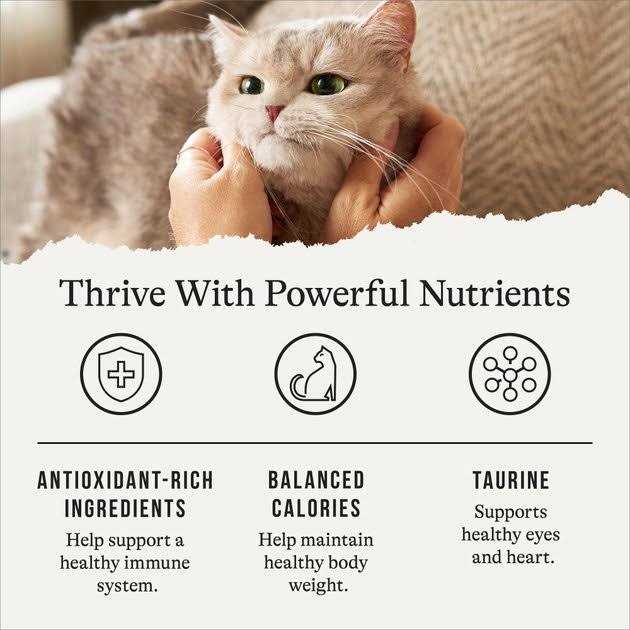 Alternative view of American Journey Recipe Salmon Grain-Free Dry Cat Food