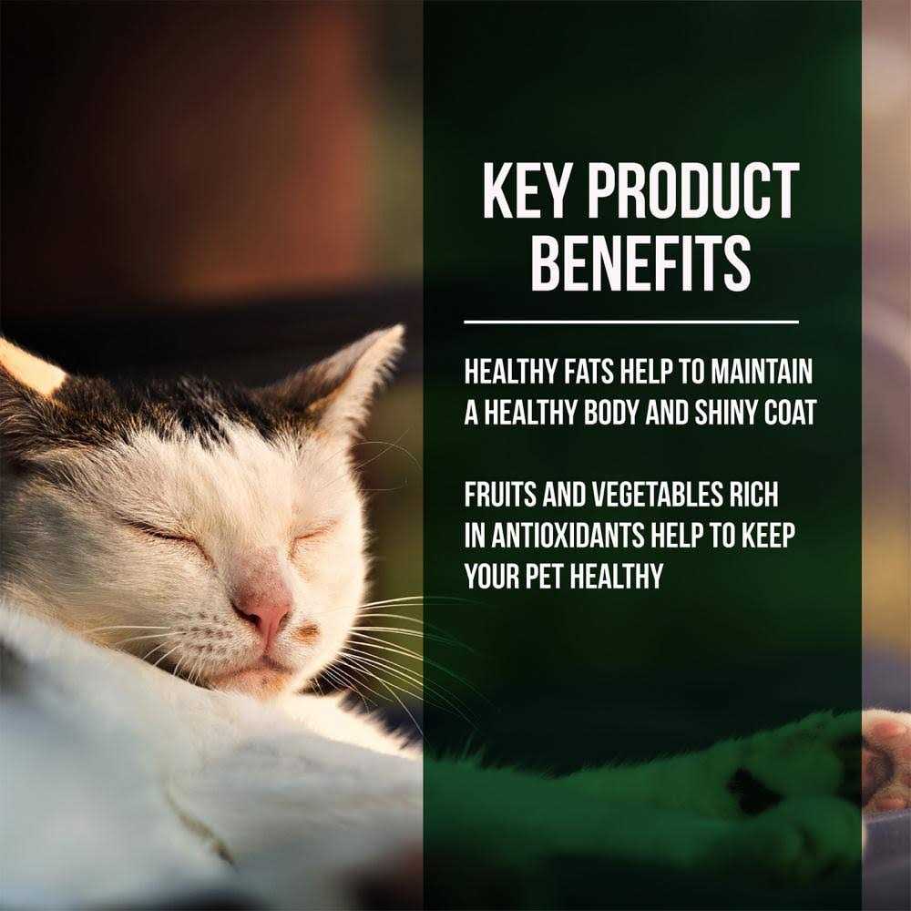 Alternative view of Fussie Cat Market Fresh Salmon Chicken Dry Cat Food