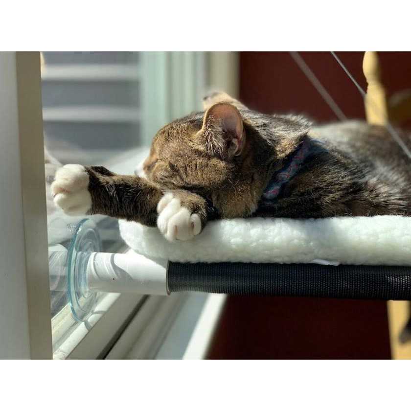 Alternative view of Kitty Cot Original World's Best Cat Perch