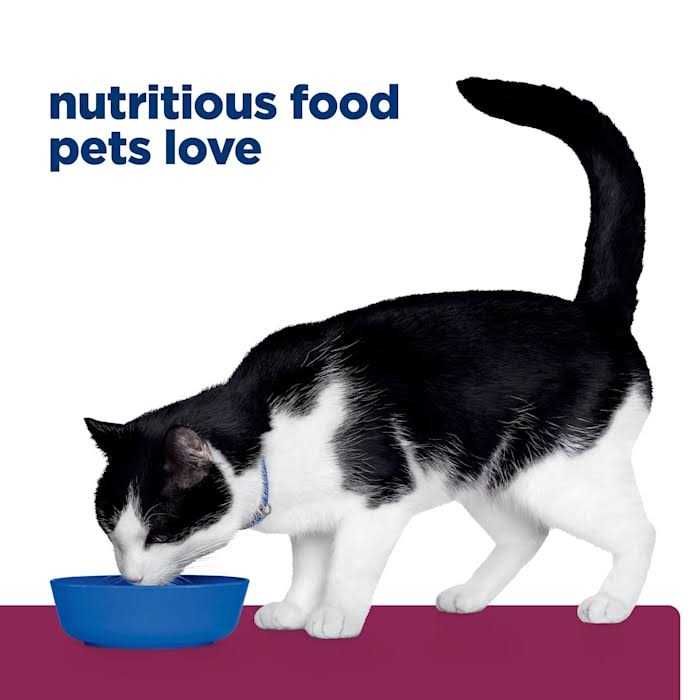 Alternative view of Hill's Prescription Diet Prescription Diet i/d Cat Nutrition