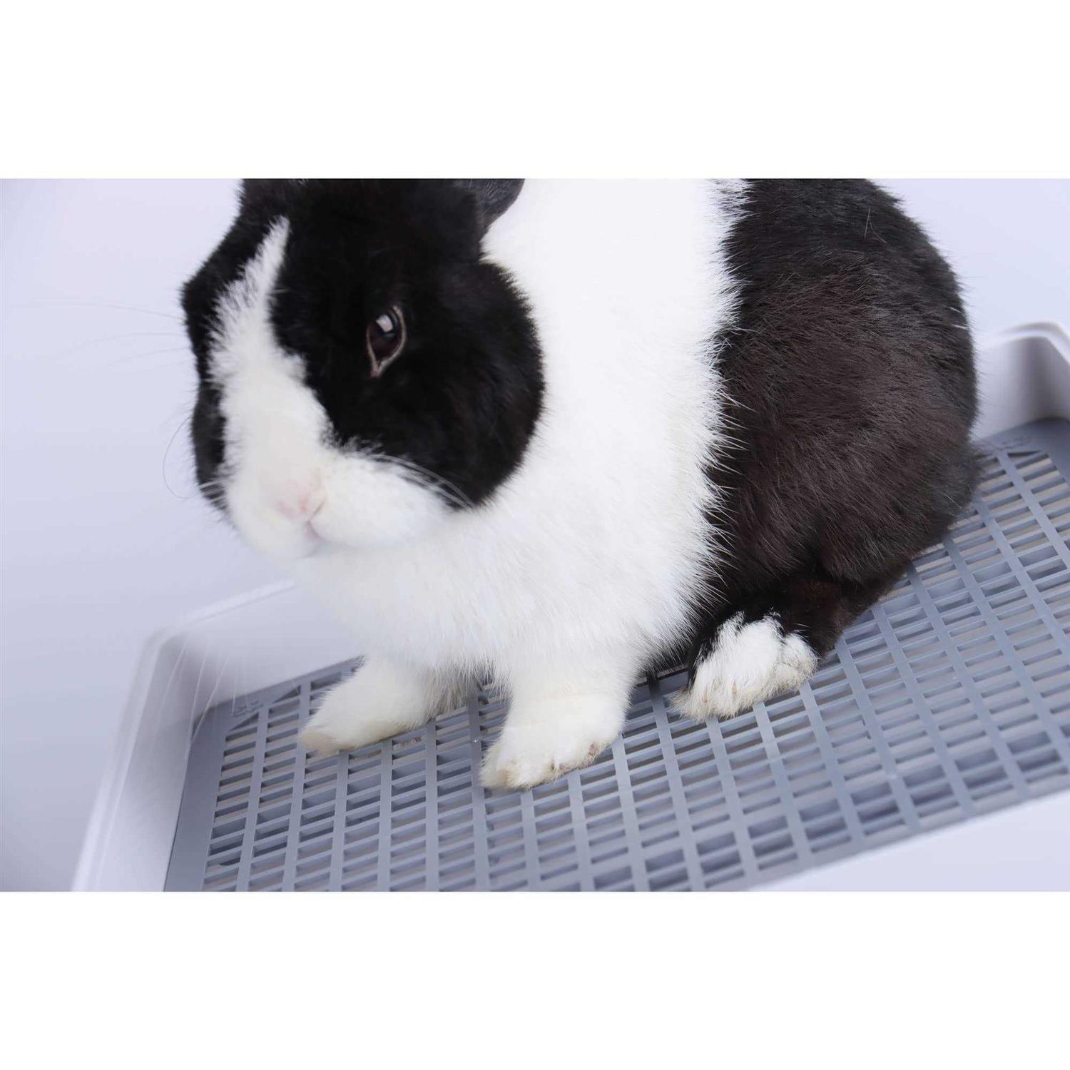 Alternative view of RUBYHOME Super Large Rabbit Litter Box with Grate Rabbit Potty Box Litter Pan for Cage