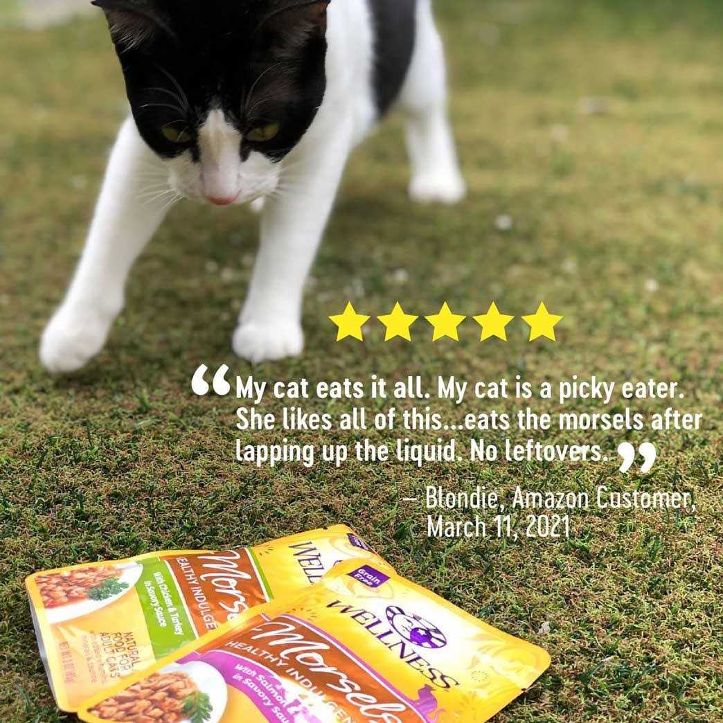 Alternative view of Wellness Healthy Indulgence Natural Grain Free Wet Cat Food Morsels Variety Pack