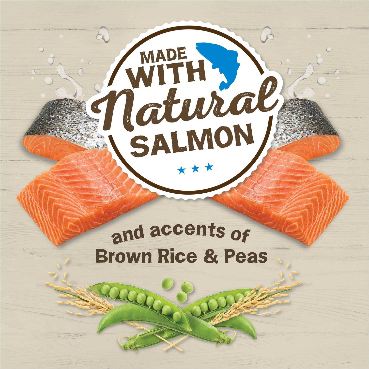 Alternative view of Friskies Ocean Favorites Dry Cat Food With Natural Salmon