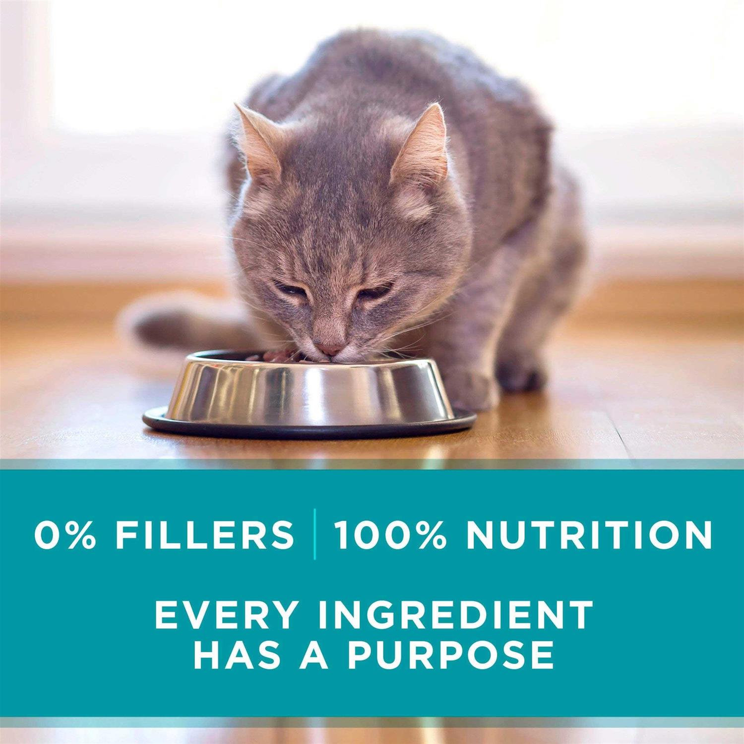 Alternative view of Purina ONE Natural High Protein Wet Cat Food Variety Pack True Instinct Turkey