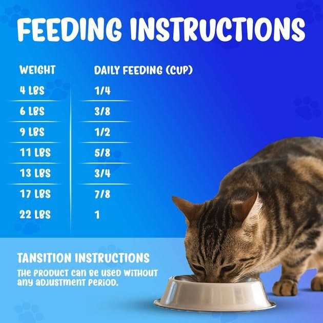 Alternative view of Forza10 Active Kidney Renal Support Diet Dry Cat Food