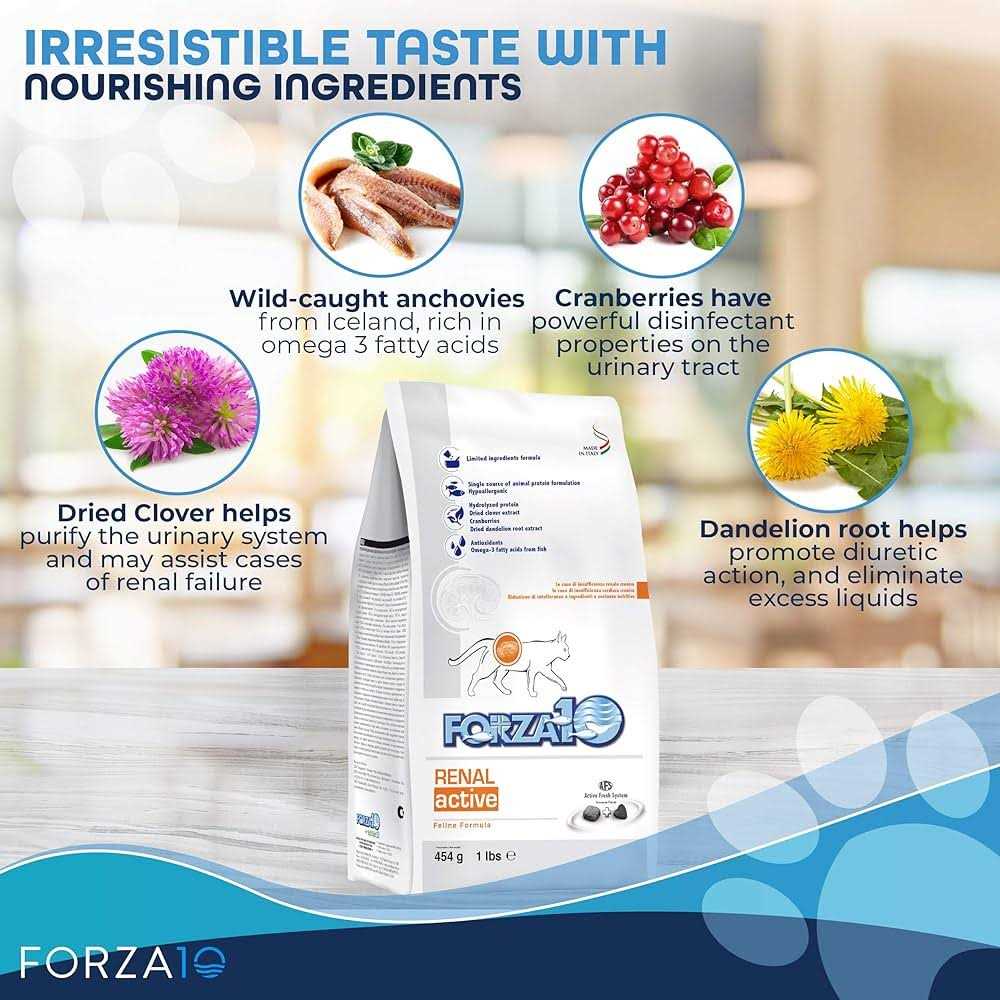 Alternative view of Forza10 Active Kidney Renal Support Diet Dry Cat Food