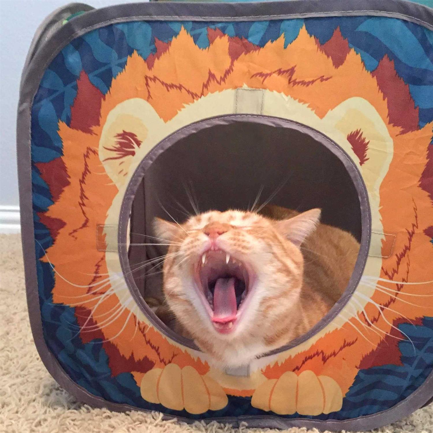 Alternative view of Kitty City Pop Open Jungle Combo,Collapsible Cat Cube