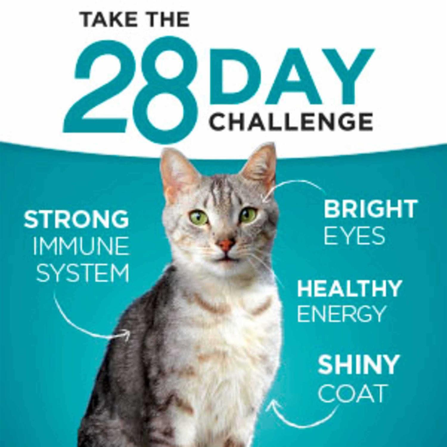Alternative view of Purina One Indoor Advantage Natural Cat Food Ocean Whitefish & Rice