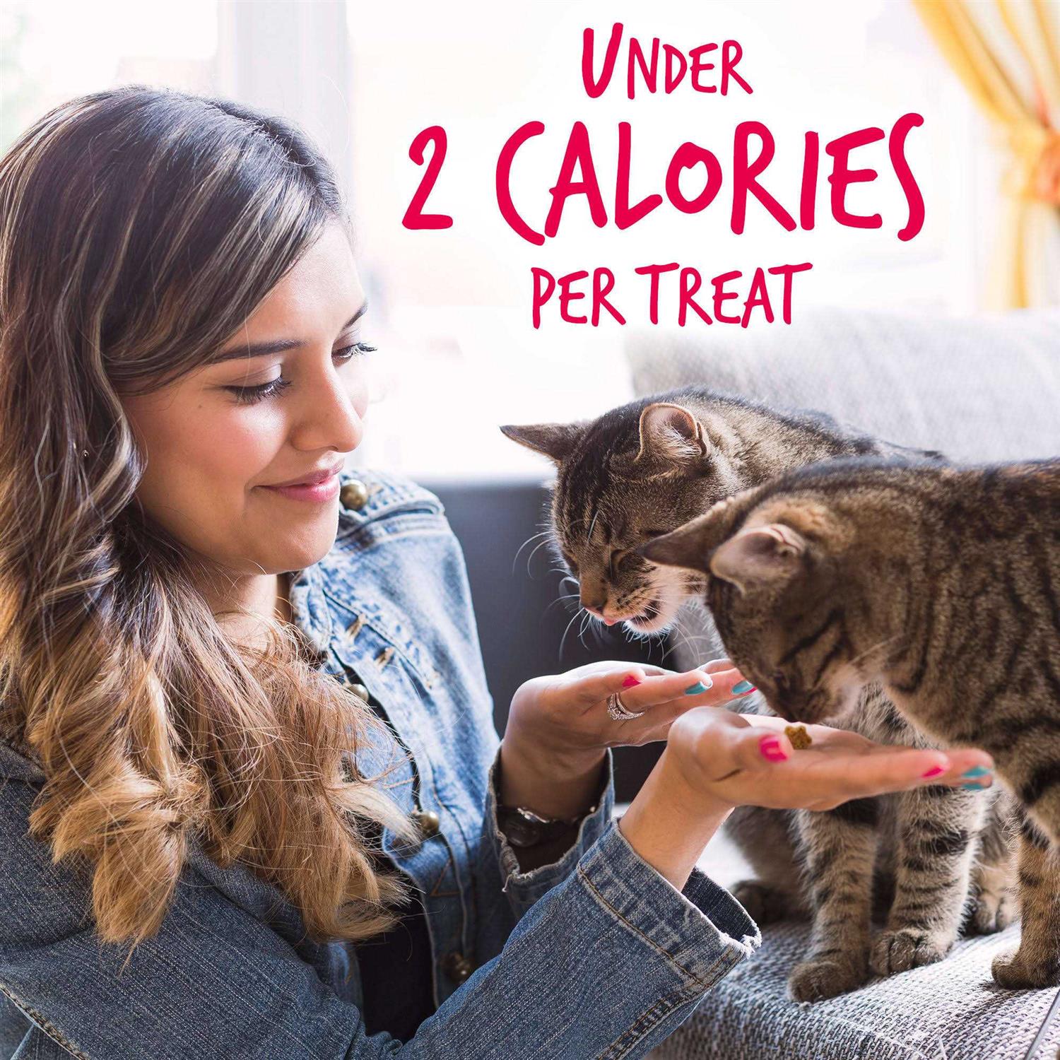 Alternative view of Fruitables Salmon with Cranberry Crunchy Cat Treats