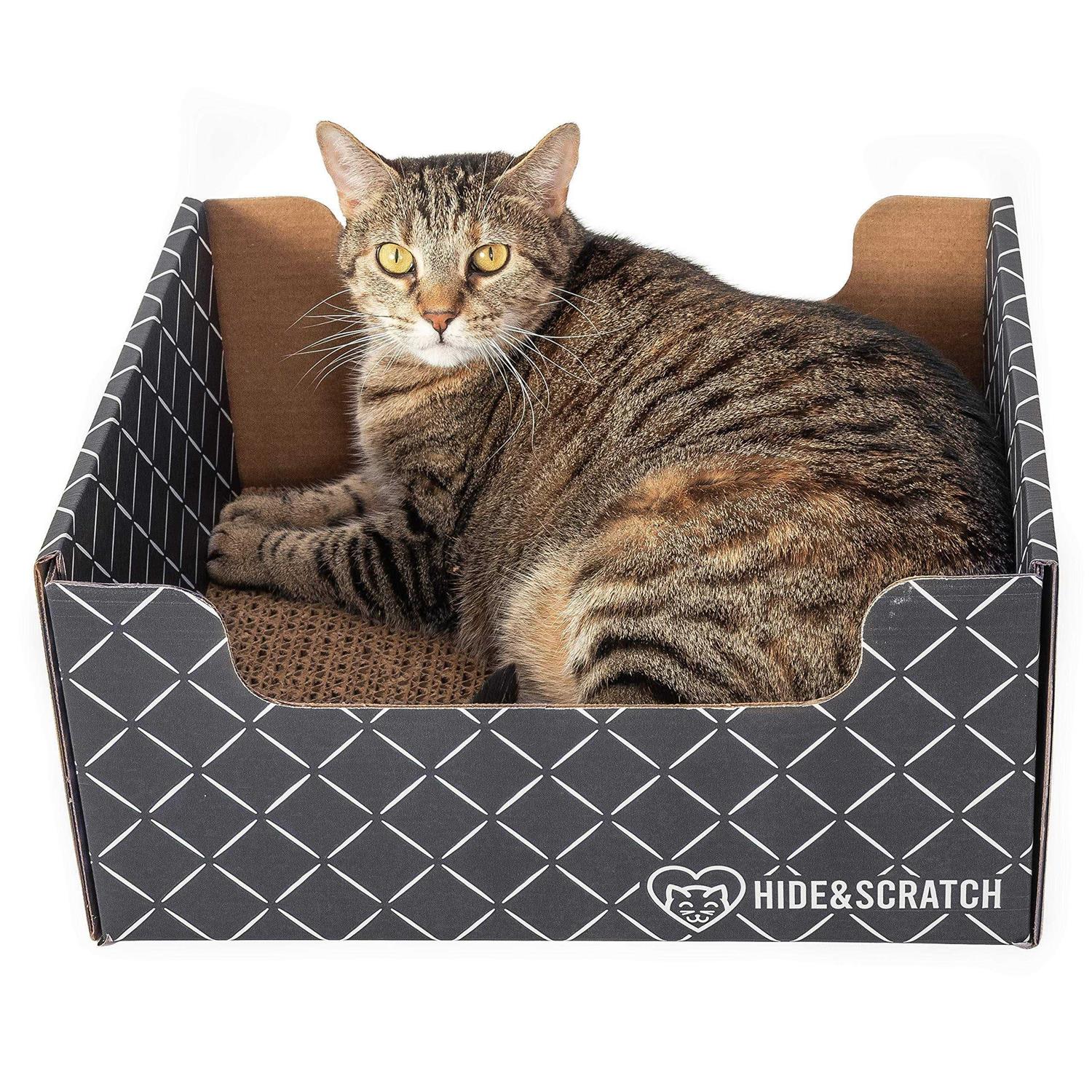 Hide & Scratch Extra-Large Heavy Duty Cardboard Cat Scratcher and Lounger Box with Refillable Scratch Pad