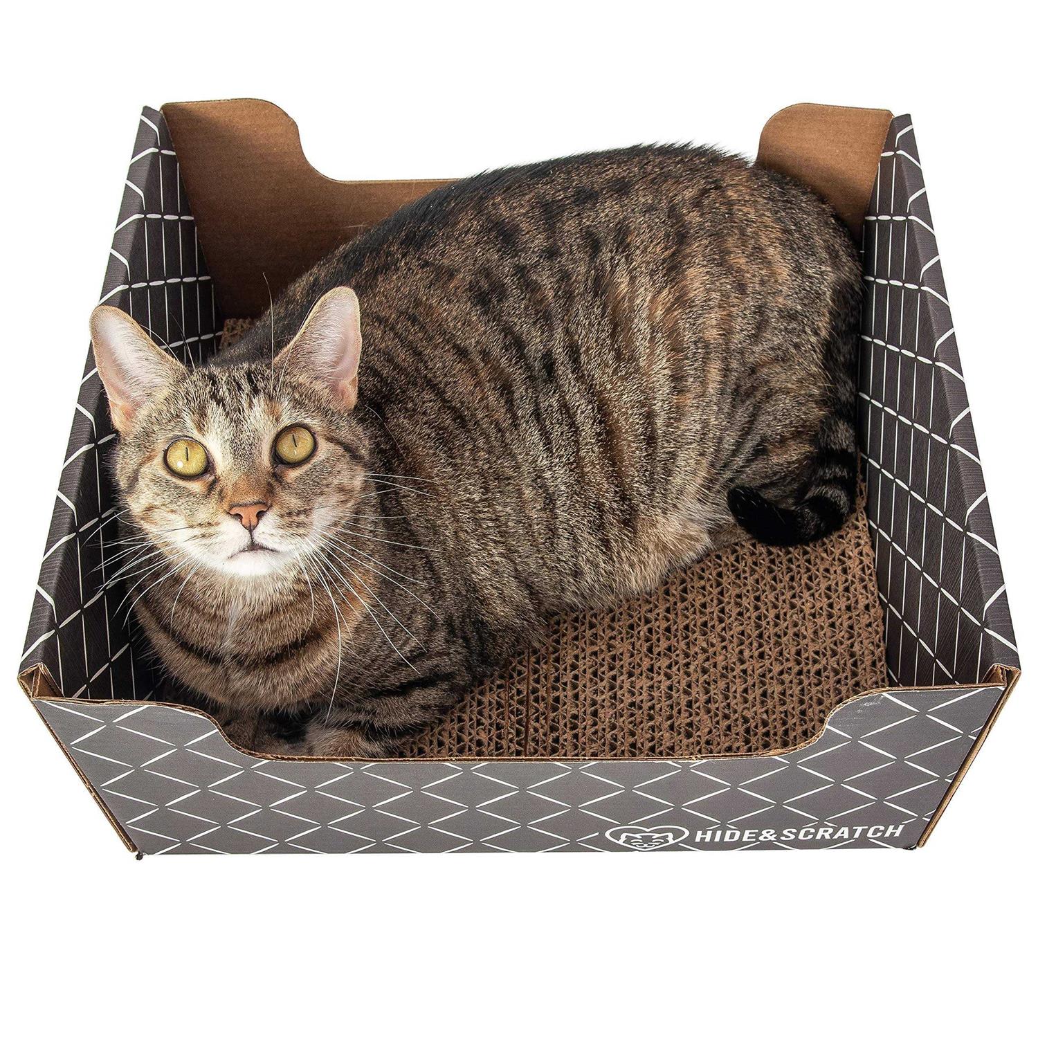 Hide & Scratch Extra-Large Heavy Duty Cardboard Cat Scratcher and Lounger Box with Refillable Scratch Pad